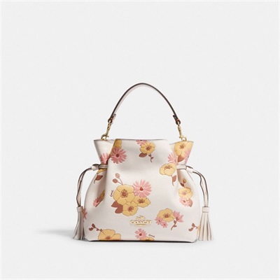 Geanta Crossbody Dama Coach Andy With Floral Cluster Print Aurii Colorati | Romania-592673