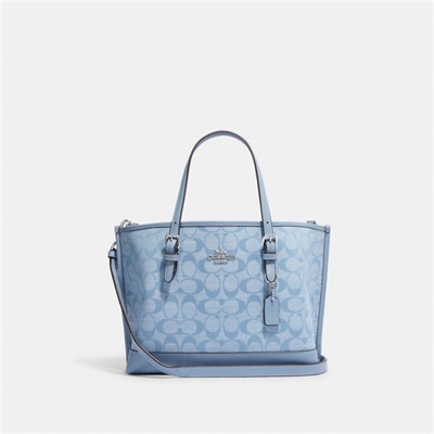 Geanta Tote Dama Coach Mollie 25 In Signature Chambray Argintii Flori Colorati | Romania-169453