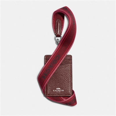 Lanyard Dama Coach Id Argintii Colorati | Romania-712408