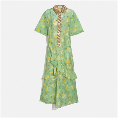 Rochie Cămașă Dama Coach Apple Print Long Ruffle Verde Menta Galbeni | Romania-720836