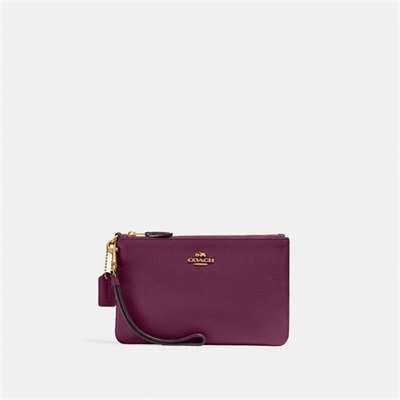 Wristlets Dama Coach Small Albastru Deschis | Romania-546108