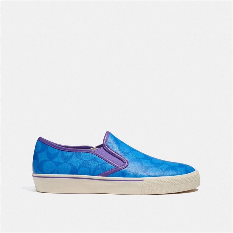 Adidași Barbati Coach Slip On Skate Albastri Deschis | Romania-250617