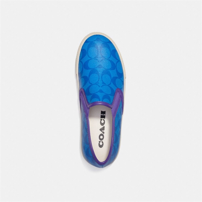 Adidași Barbati Coach Slip On Skate Albastri Deschis | Romania-250617