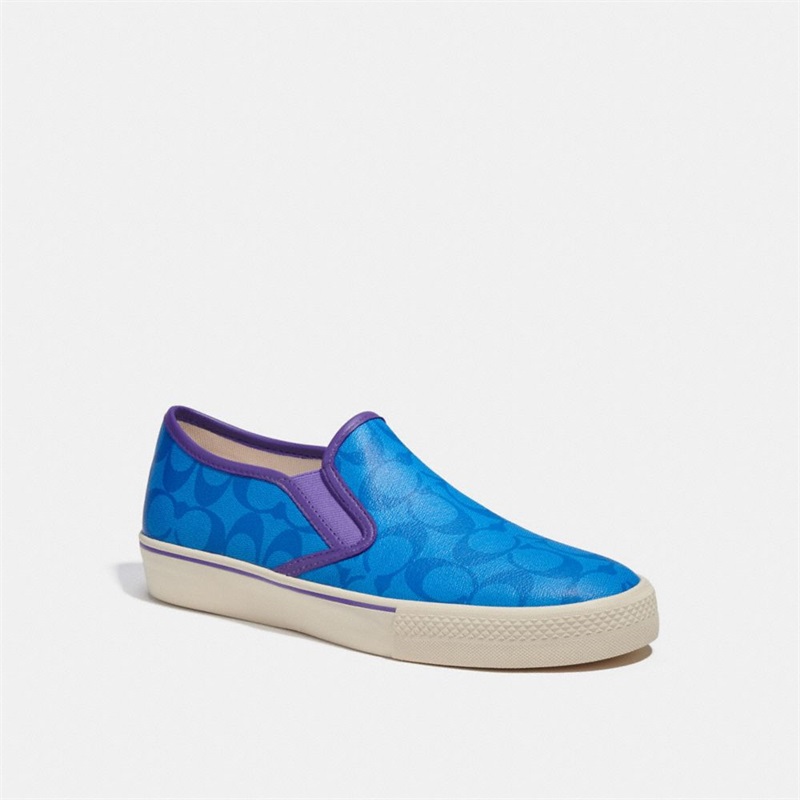 Adidași Barbati Coach Slip On Skate Albastri Deschis | Romania-250617