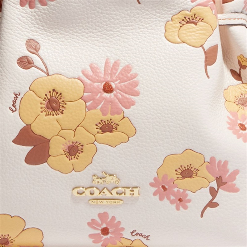 Geanta Crossbody Dama Coach Andy With Floral Cluster Print Aurii Colorati | Romania-592673