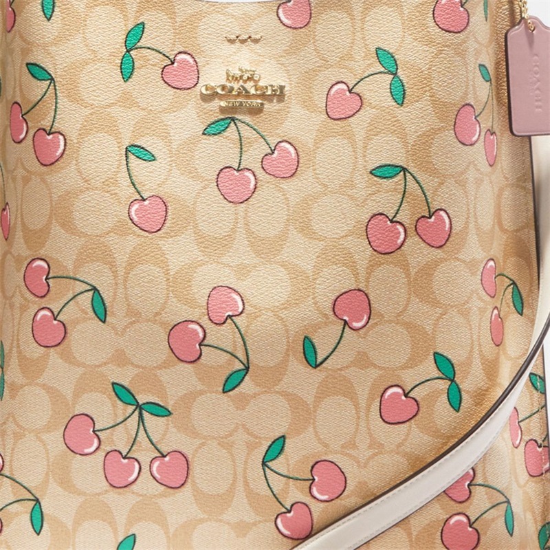 Geanta Galeata Dama Coach Mollie In Signature Canvas With Heart Cherry Print Aurii Kaki Deschis Colorati | Romania-197430