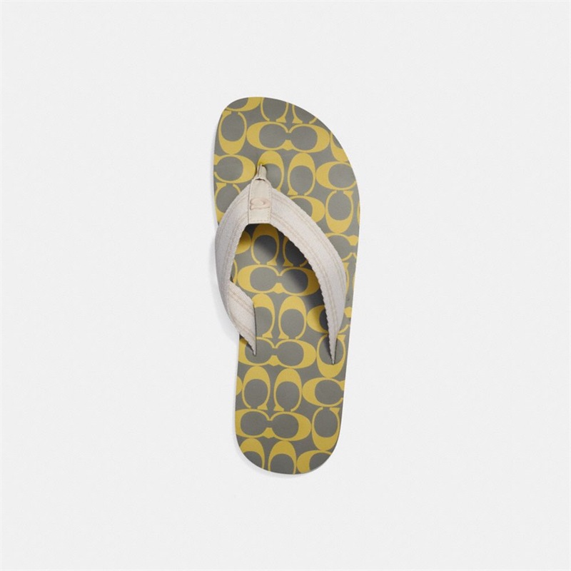 Papuci Flip Flop Barbati Coach Verzi Verzi Deschis | Romania-480165