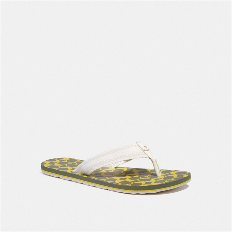 Papuci Flip Flop Barbati Coach Verzi Verzi Deschis | Romania-480165