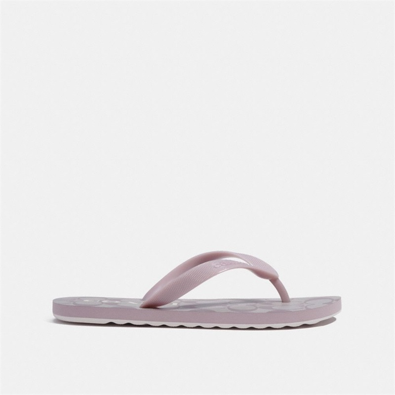 Papuci Flip Flop Dama Coach Zak Violet | Romania-842319