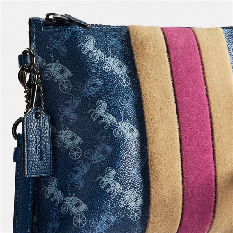 Pouches Dama Coach Charlie With Horse And Carriage Print And Varsity Stripe Albastri | Romania-657490