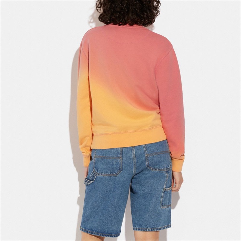 Topuri Dama Coach Ombre Horse And Carriage Crewneck In Organic Cotton Colorati | Romania-058174