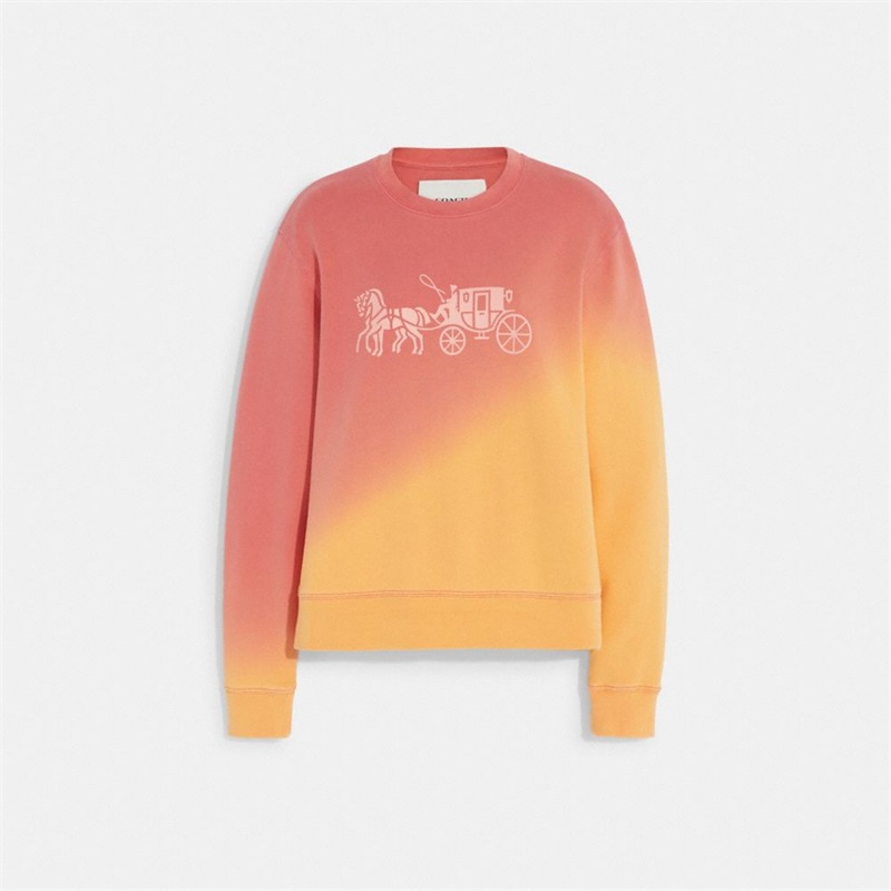 Topuri Dama Coach Ombre Horse And Carriage Crewneck In Organic Cotton Colorati | Romania-058174