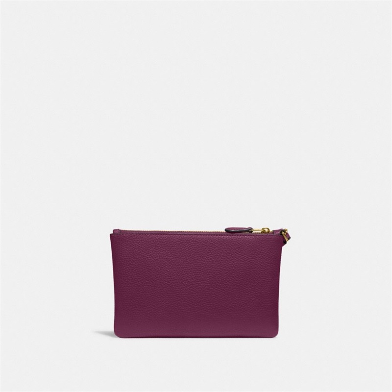 Wristlets Dama Coach Small Albastru Deschis | Romania-546108